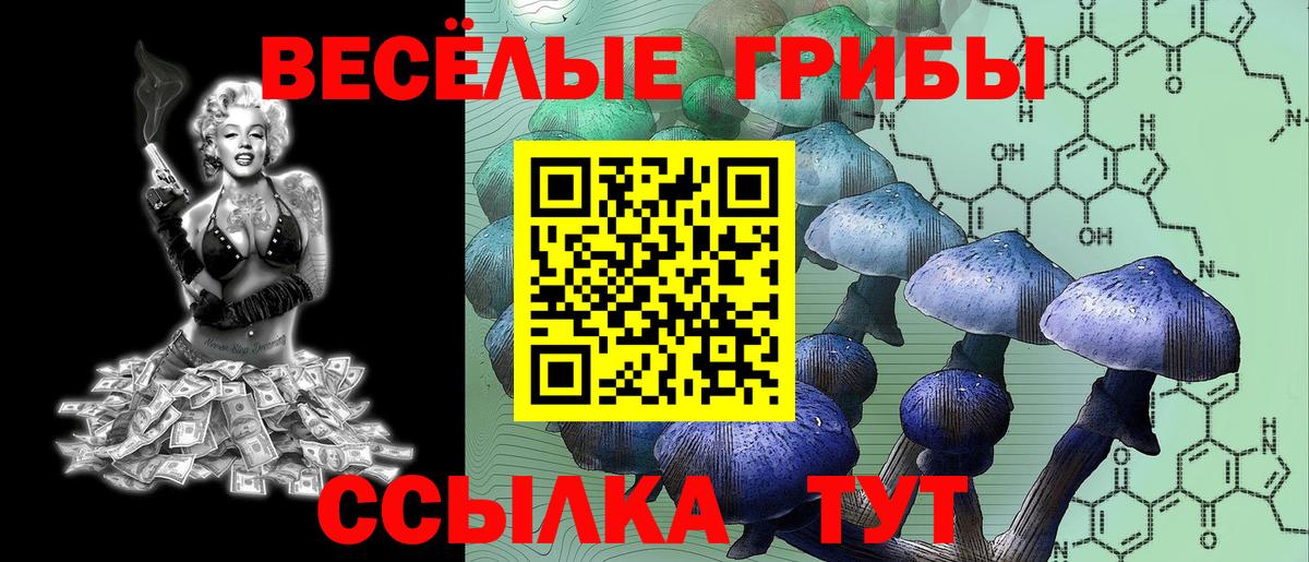 Псилоцибиновые грибы Cubensis  Галлюциногенные грибы Cubensis  Вход с VPN  Конаково 